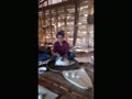 ラフ族のお正月（１）お供え用のお餅　Lahu New Year (making rice cakes for offering)